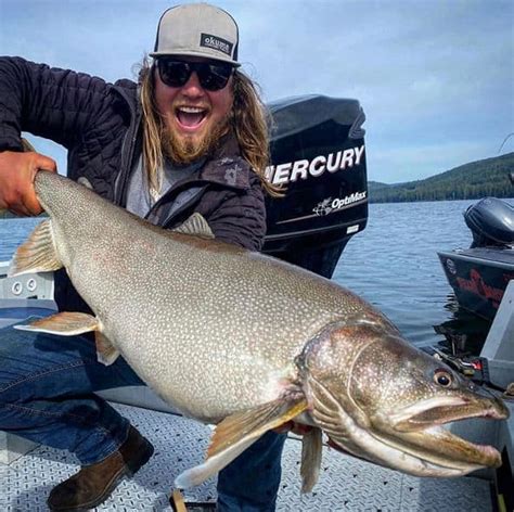 mackinaw fish|Lake Trout (Mackinaw) .